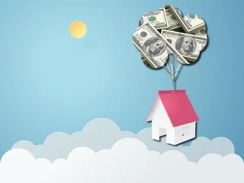 House flying