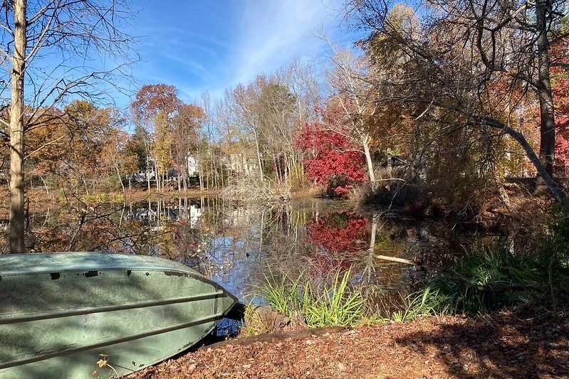 Canoe Woods 