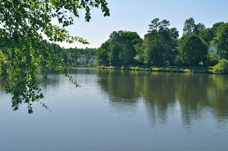 Davis Lake