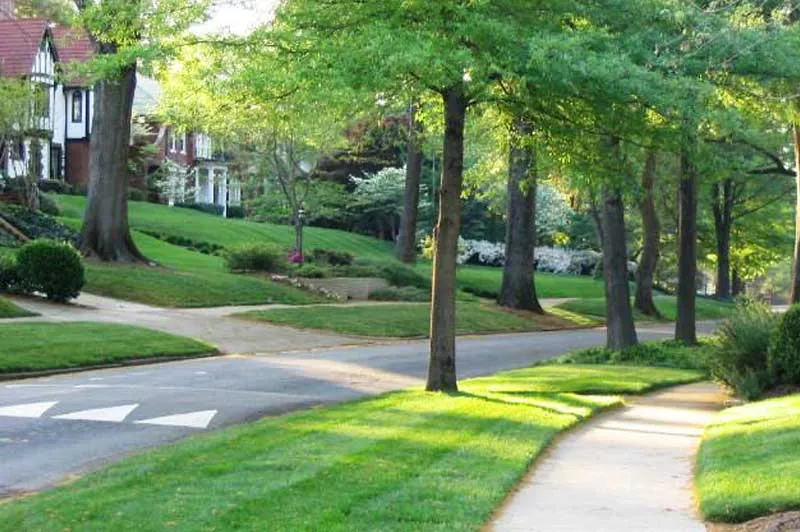Myers Park Neighborhood