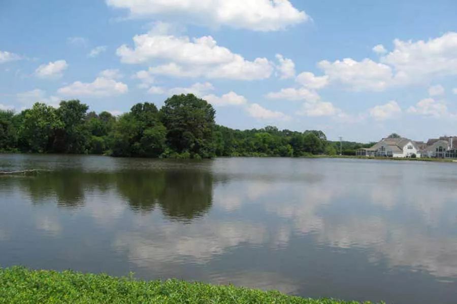 Lake view with trees and homes